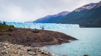 19 11 344x193 - No pain, no Paine - Patagonia
