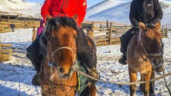 197 1 344x193 - Koleją transsyberyjską do domu