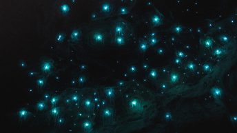 2 1 1 344x193 - Hen ku Brisbane, czyli nasz pierwszy road trip po Australii