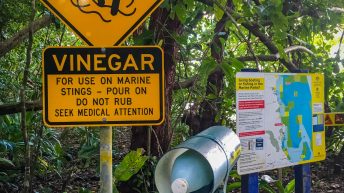 2 11 1 344x193 - Hen ku Brisbane, czyli nasz pierwszy road trip po Australii