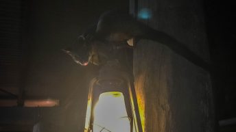 2 13 1 344x193 - Hen ku Brisbane, czyli nasz pierwszy road trip po Australii