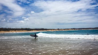 2 17 1 344x193 - Hen ku Brisbane, czyli nasz pierwszy road trip po Australii