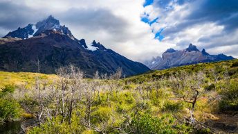 2 19 344x193 - No pain, no Paine - Patagonia