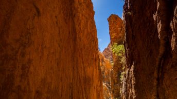 2 24 344x193 - Miliardy much nie mogą się mylić - Uluru