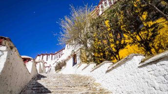 2 37 344x193 - Tybet - buddyjska strefa kontrolowana