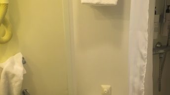 2 5 344x193 - W drodze na Antarktydę - Falklandy