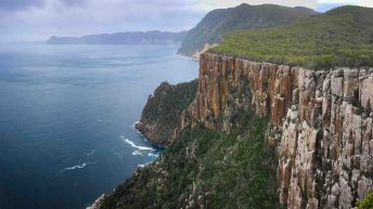 20 15 344x193 - Do diabła!... czyli Tasmania :-)