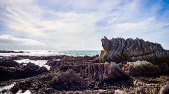 20 17 344x193 - W krainie Władcy Pierścieni - Wyspa Południowa