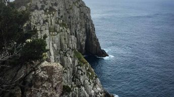 21 12 344x193 - Do diabła!... czyli Tasmania :-)