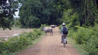 23 344x193 - AZJA - TAJLANDIA, LAOS, KAMBODŻA, MALEZJA, SINGAPUR, NEPAL
