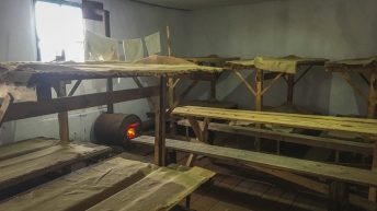 236 344x193 - Koleją transsyberyjską do domu