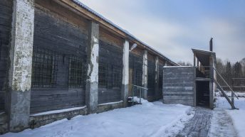 242 344x193 - Koleją transsyberyjską do domu