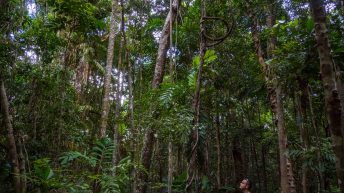 25 10 344x193 - Hen ku Brisbane, czyli nasz pierwszy road trip po Australii