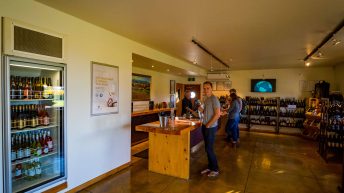 26 13 344x193 - W krainie Władcy Pierścieni - Wyspa Południowa