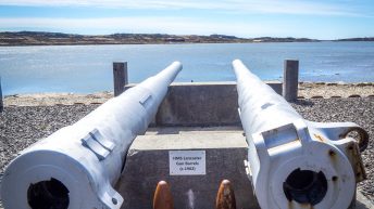 26 4 344x193 - W drodze na Antarktydę - Falklandy