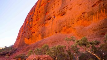27 11 344x193 - Miliardy much nie mogą się mylić - Uluru