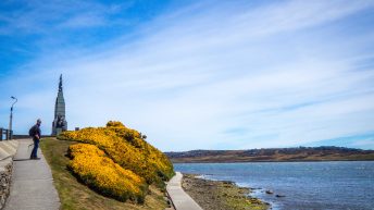 28 4 344x193 - W drodze na Antarktydę - Falklandy
