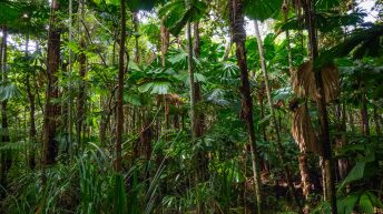 29 10 344x193 - Hen ku Brisbane, czyli nasz pierwszy road trip po Australii