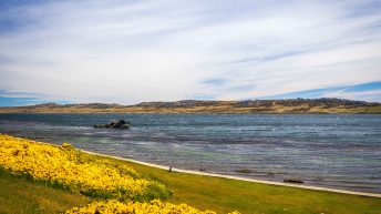 29 4 344x193 - W drodze na Antarktydę - Falklandy