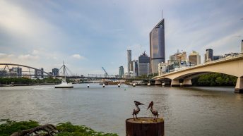 3 1 2 344x193 - Hen ku Brisbane, czyli nasz pierwszy road trip po Australii