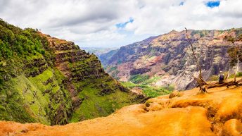 3 123 344x193 - Nie takie znowu rajskie Hawaje