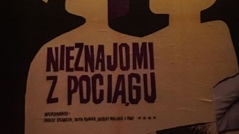 3 18 344x193 - Wodospady, wino, wołowina - p&oacute;łnocna Argentyna