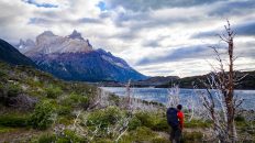 3 19 232x130 - No pain, no Paine - Patagonia