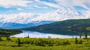 30 14 344x193 - Przystanek Alaska cz. I