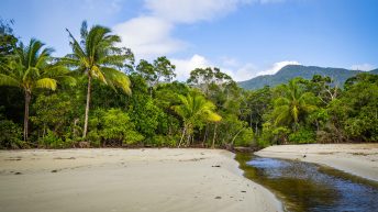 30 8 344x193 - Hen ku Brisbane, czyli nasz pierwszy road trip po Australii