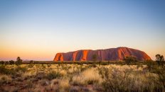 31 8 1 232x130 - Z Alice Springs do Uluru - wideo