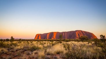 31 8 1 366x205 - Z Alice Springs do Uluru - wideo