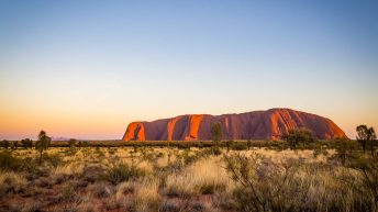 31 8 344x193 - Miliardy much nie mogą się mylić - Uluru