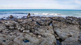 31 9 344x193 - W krainie Władcy Pierścieni - Wyspa Południowa