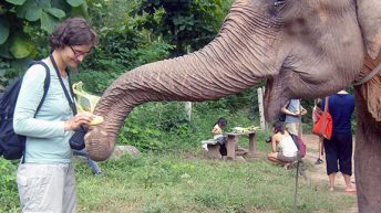 35 344x193 - AZJA - TAJLANDIA, LAOS, KAMBODŻA, MALEZJA, SINGAPUR, NEPAL