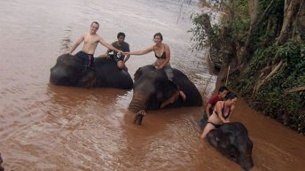 36 1 344x193 - AZJA - TAJLANDIA, LAOS, KAMBODŻA, MALEZJA, SINGAPUR, NEPAL