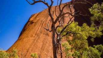 38 8 344x193 - Miliardy much nie mogą się mylić - Uluru