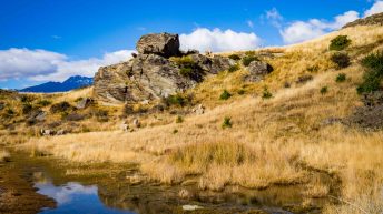 39 9 344x193 - W krainie Władcy Pierścieni - Wyspa Południowa