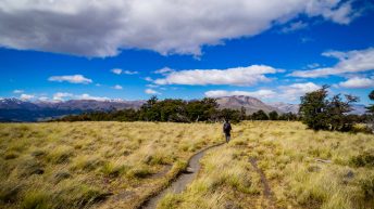 4 17 344x193 - No pain, no Paine - Patagonia