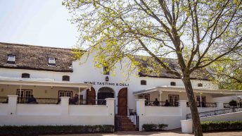 4 29 344x193 - Nie tak dzika Afryka - Kapsztad i okolice (RPA cz. II)