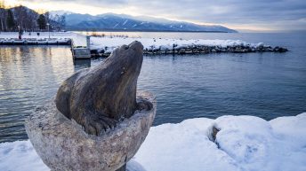 40 20 344x193 - Koleją transsyberyjską do domu