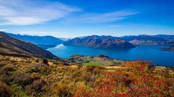 42 15 344x193 - W krainie Władcy Pierścieni - Wyspa Południowa