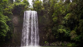 43 7 344x193 - Hen ku Brisbane, czyli nasz pierwszy road trip po Australii