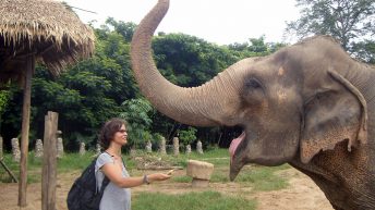 44 344x193 - AZJA - TAJLANDIA, LAOS, KAMBODŻA, MALEZJA, SINGAPUR, NEPAL