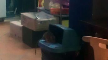 47.1 344x193 - AZJA - TAJLANDIA, LAOS, KAMBODŻA, MALEZJA, SINGAPUR, NEPAL