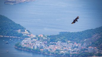 48 2 344x193 - Ze smakiem Caipirinhi na ustach - Rio de Janeiro!
