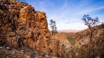 5 22 344x193 - Miliardy much nie mogą się mylić - Uluru