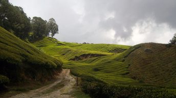 50 344x193 - AZJA - TAJLANDIA, LAOS, KAMBODŻA, MALEZJA, SINGAPUR, NEPAL