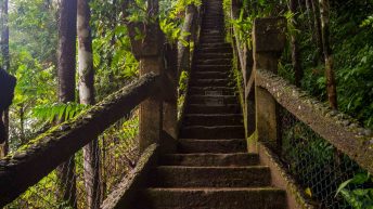 50 4 344x193 - Hen ku Brisbane, czyli nasz pierwszy road trip po Australii