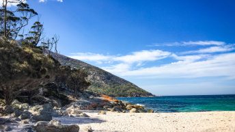 55 5 344x193 - Do diabła!... czyli Tasmania :-)