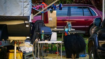 56 4 344x193 - Hen ku Brisbane, czyli nasz pierwszy road trip po Australii